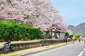 鉄道軌道跡が自転車道